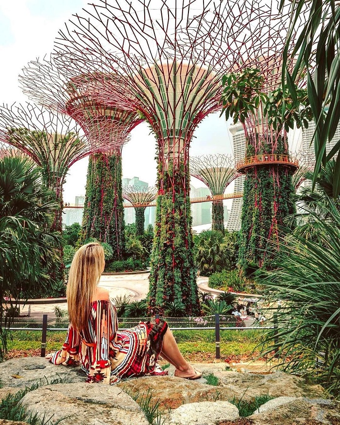 điểm đến sắc màu ở Singapore Gardens by Bay
