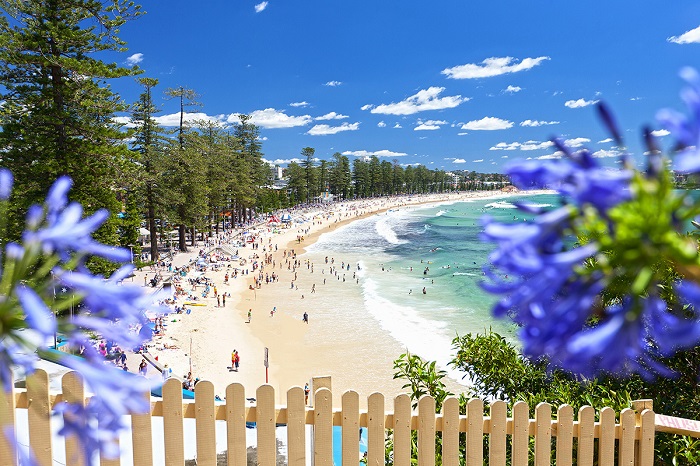 ghé thăm bãi biển Manly trong một tuần ở Sydney