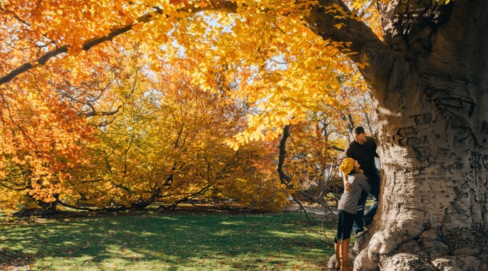 mùa thu ở Amsterdam tại công viên Vondelpark