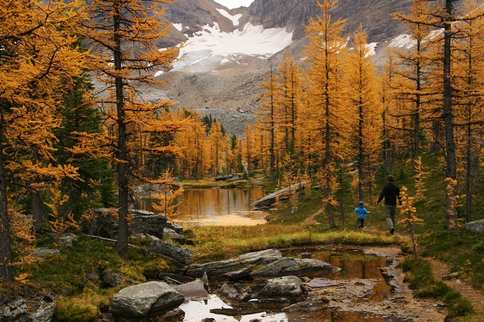 mùa thu ở Canada tại dãy núi Rocky