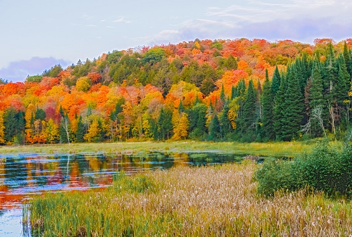 mùa thu ở Canada tại công viên Algonquin