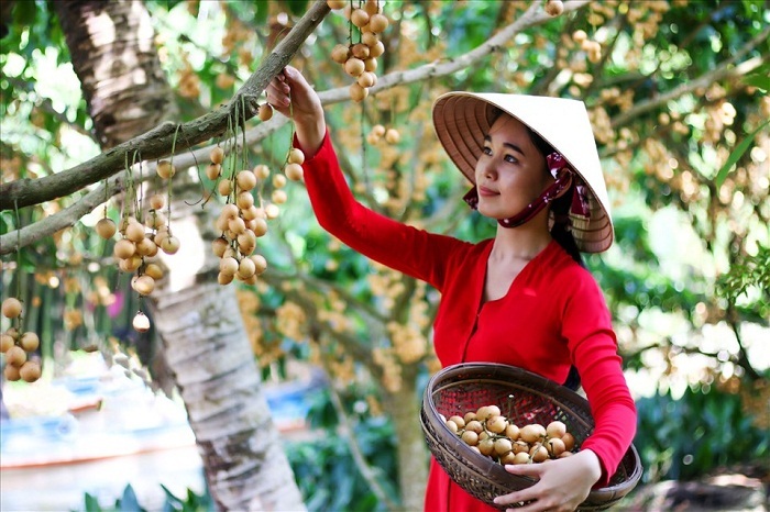 Cần Thơ có gì vui? Lên lịch trình trải nghiệm bằng hết ‘cái hồn’ của miền sông nước an yên