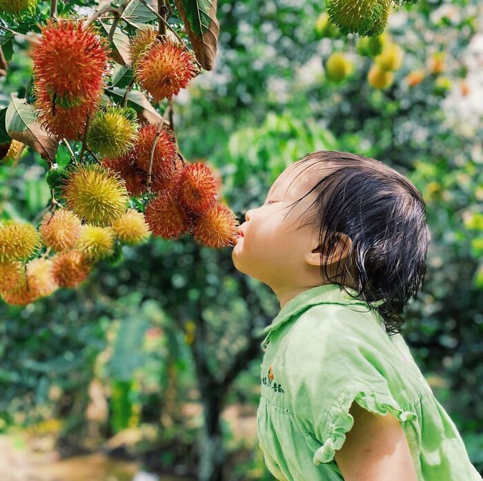 Cần Thơ có gì vui? Lên lịch trình trải nghiệm bằng hết ‘cái hồn’ của miền sông nước an yên