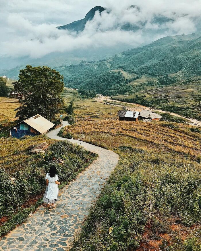 Rộn ràng du lịch Sapa mùa lúa chín: Vẻ đẹp của mùa vàng khiến bao du khách nao lòng