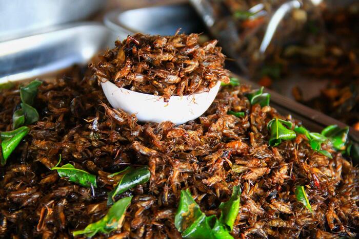 Kamaru được chế biến từ những con dế trũi trên đồng ruộng - một món ăn không dành cho những người yếu tìm