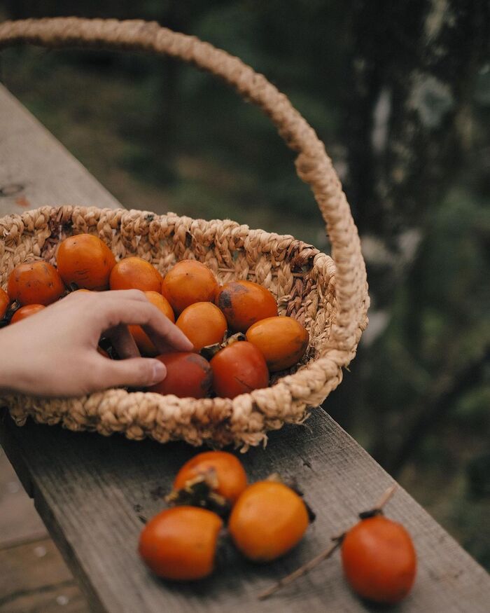 Mùa hồng Đà Lạt tháng mấy và danh sách các khu vườn ‘đẹp như mơ’ dành cho các tín đồ đam mê check-in