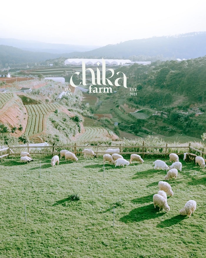 Nông trại Chika Farm Đà Lạt - chốn bình yên gây thương nhớ cho những kẻ mộng mơ