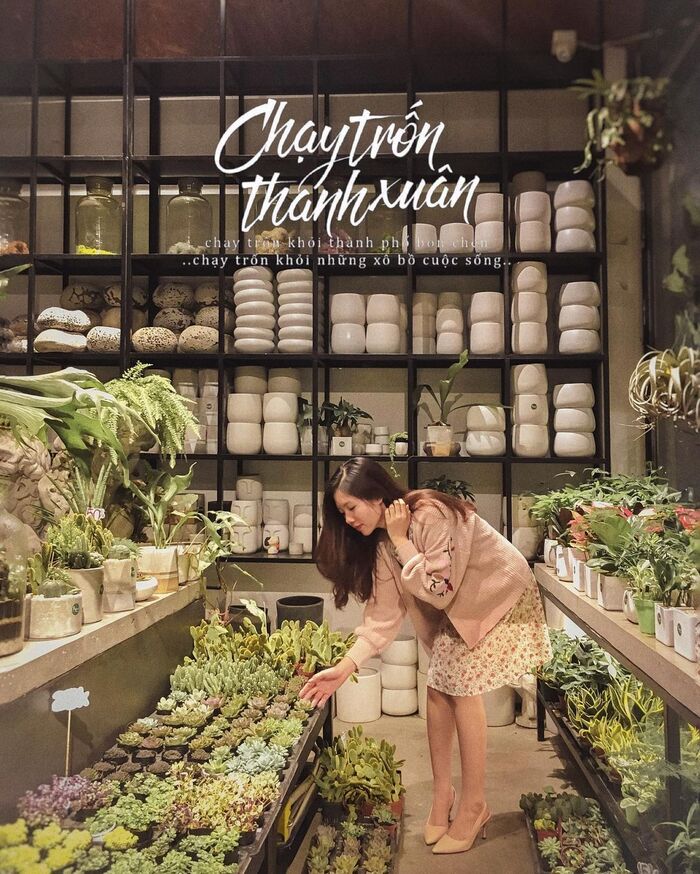 Sạc năng lượng cho ngày cuối tuần ‘xanh’ với điểm dừng các quán cà phê sân vườn ở Hà Nội