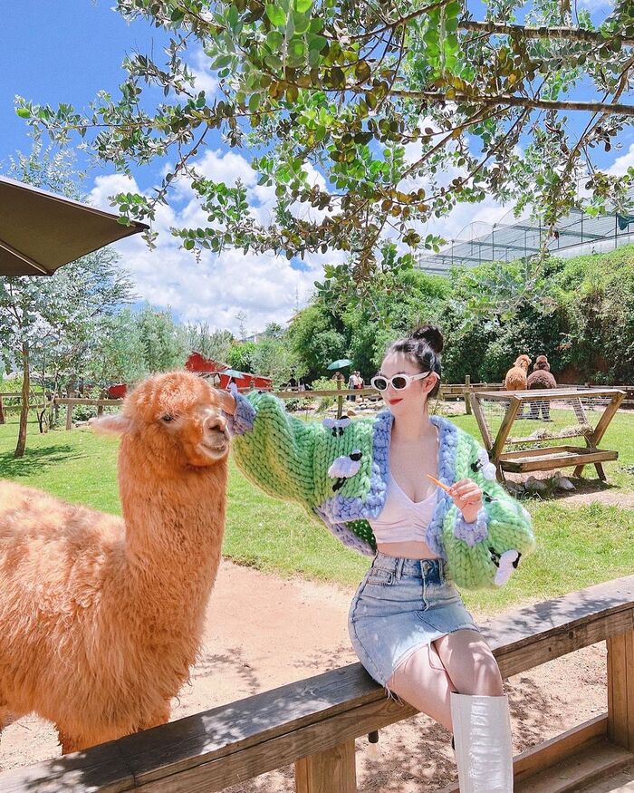 Trải nghiệm du lịch nên thử ở Đà Lạt giúp kỳ nghỉ ‘thêm chill, thêm xịn’