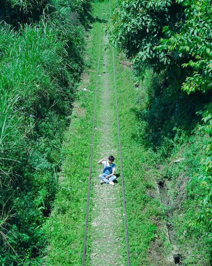 Trải nghiệm du lịch nên thử ở Đà Lạt giúp kỳ nghỉ ‘thêm chill, thêm xịn’