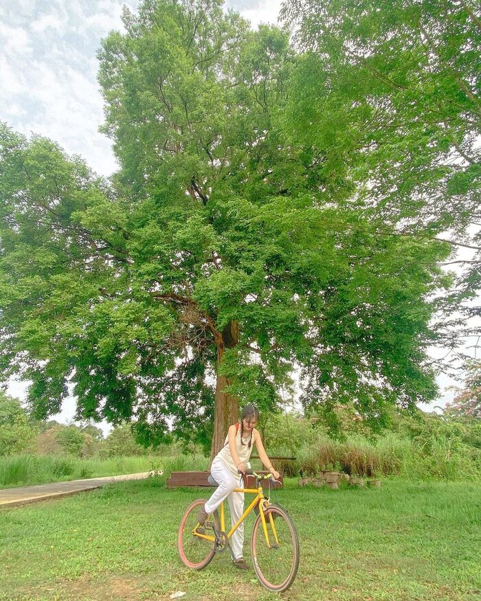 Những trải nghiệm du lịch nên thử ở Đồng Nai luôn ‘làm mưa, làm gió’ các tín đồ mê khám phá