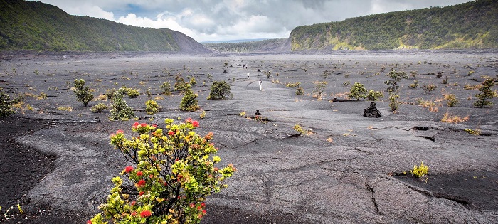 Kīlauea Iki là con đường đẹp nhất tại Công viên quốc gia Hawaii’s Volcanoes dành cho ai ưa thích mạo hiểm
