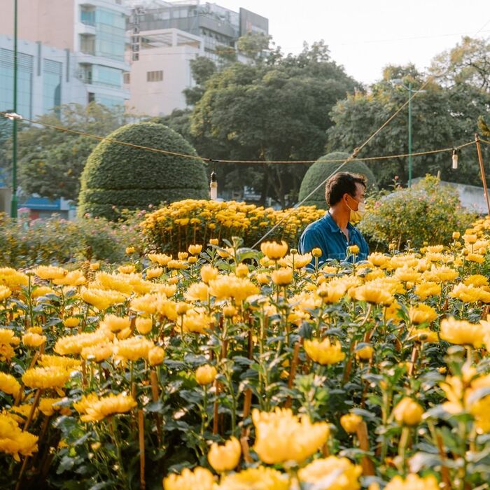 chợ hoa ở công viên Lê Văn Tám