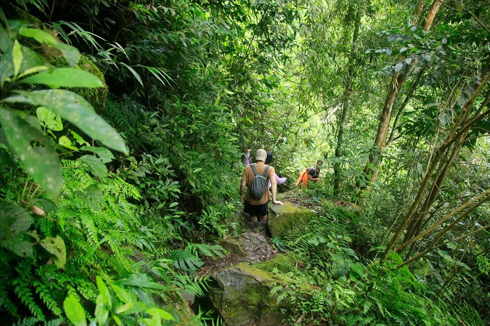 Sau đó du khách phải trekking xuyên rừng để tới được suối Cửa Tử Thái Nguyên