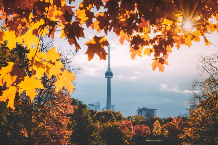 Toronto Canada - địa điểm ngắm lá mùa thu đẹp nhất