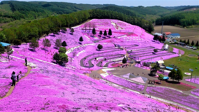 Công viên Takinoue, điểm đến màu hồng nổi tiếng thế giới