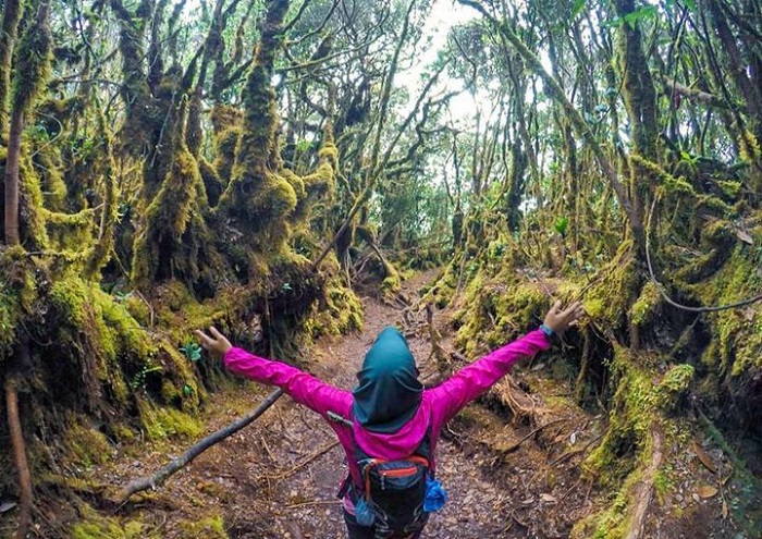 điểm trekking ở Malaysia