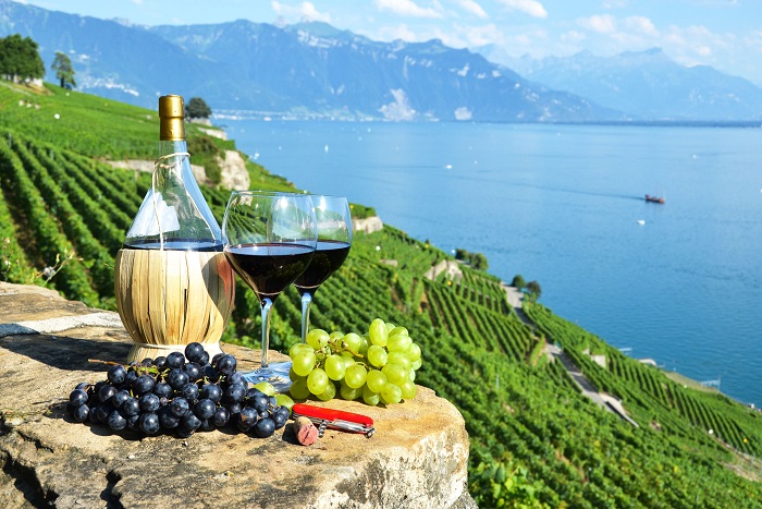 Khám phá Montreux Thụy Sĩ thưởng thức rượu vang