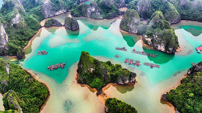 Làng chài Vung Viêng nằm sâu trong lõi di sản Vịnh Hạ Long