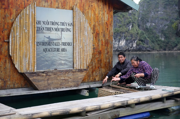 Người dân làng chài Vung Viên chủ yếu làm nghề nuôi trồng hải sản