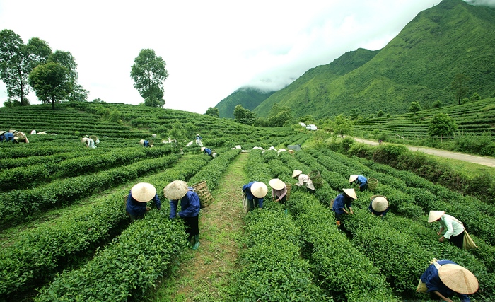 Nùng Nàng Lai Châu