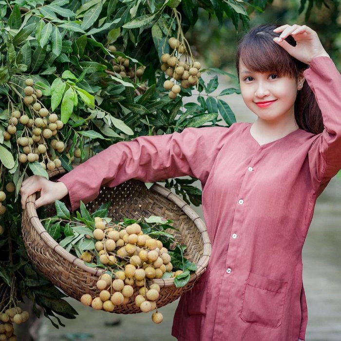tháng 8 nên đi du lịch ở đâu miền bắc - về với hưng yên thưởng thức nhãn lồng
