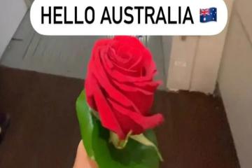Bị phạt hơn 1.200 USD ở Úc vì một bông hoa