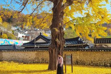 Check in ‘cháy máy’ khi ghé thăm điểm du lịch Hàn Quốc mùa thu đầy màu sắc