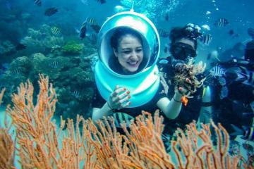 Lặn ngắm san hô ở Cô Tô - trải nghiệm mới hoàn toàn cho du khách