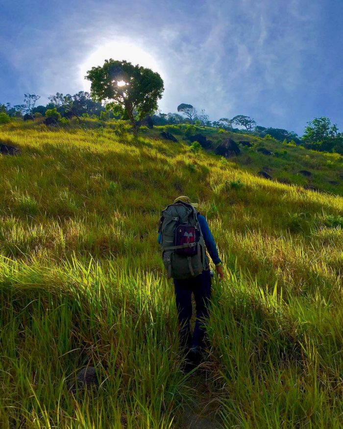 Trekking Núi Chúa Ninh Thuận xuyên rừng