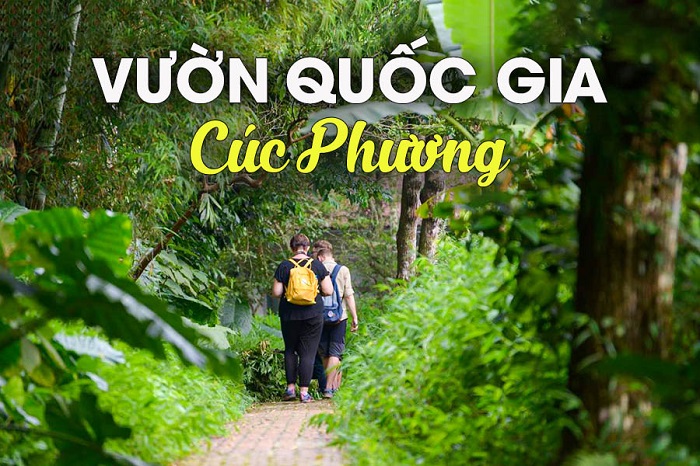 Tới rừng Cúc Phương là cơ hội để ban khám phá thiên nhiên đa dạng khi tìm Địa điểm dã ngoại ở Ninh Bình 