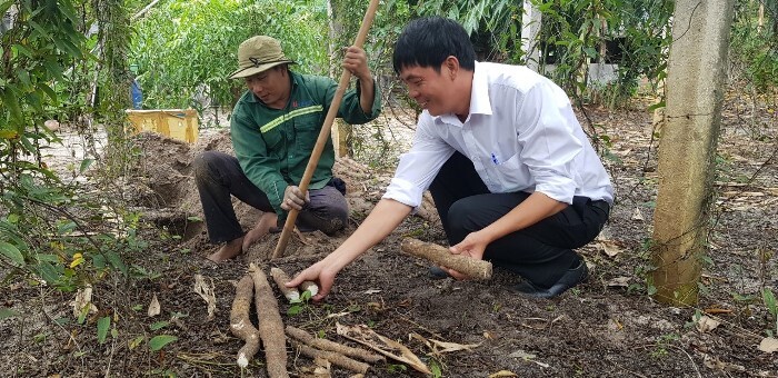 khám phá các địa điểm du lịch gần bờ kè Lộc An