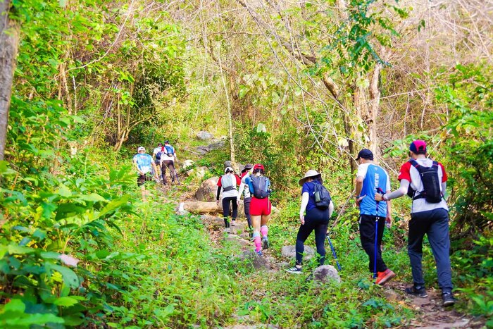 khám phá địa điểm trekking ở An Giang nên đi theo tour