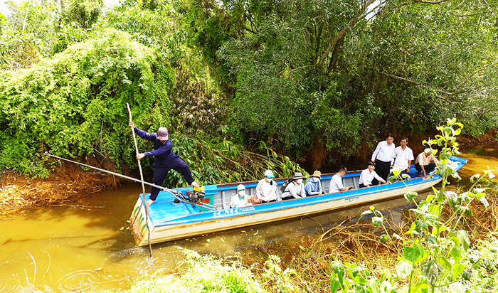 Địa điểm trekking ở An Giang hoang sơ - Rừng tràm Tân Tuyến