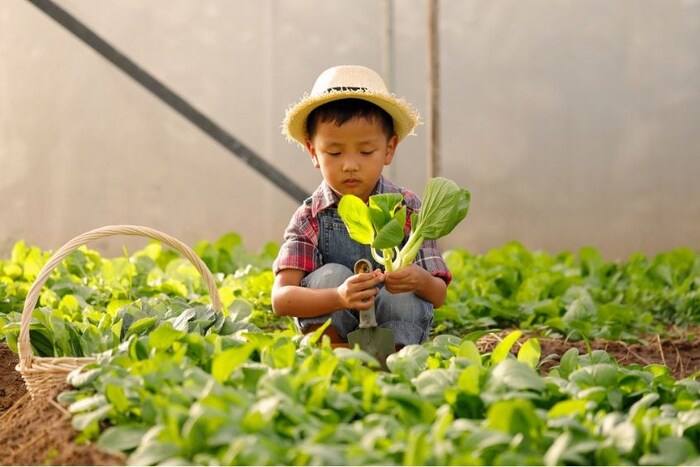 khu vui chơi trẻ em ở quận 2 - Family Garden