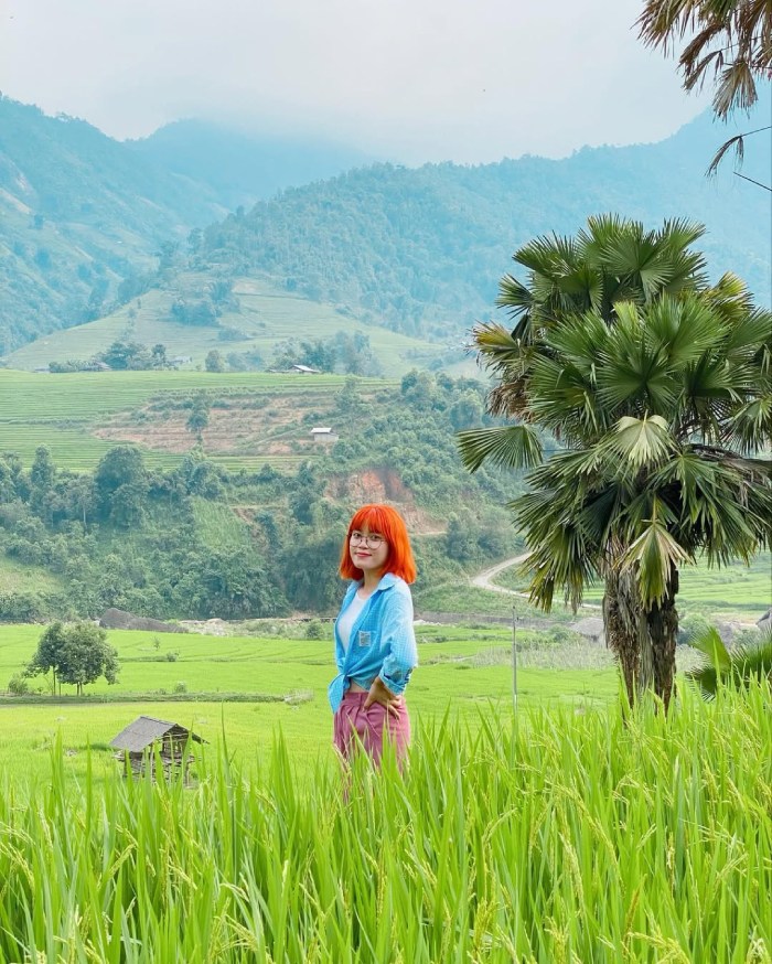nậm cang vào mùa lúa con gái