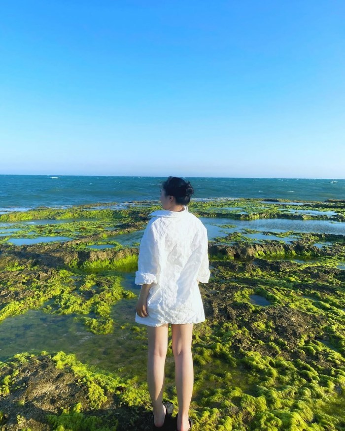 vui chơi gần cung đường ven biển DT702