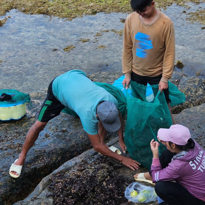 du lịch bãi thùng hãy thưởng thức hải sản tươi sống