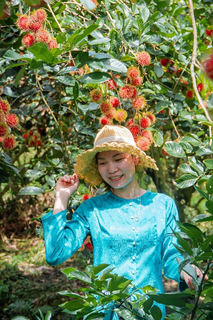 tháng 8 đi du lịch ở đâu đẹp Đừng quên các miệt vườn trĩu quả của Cần Thơ 