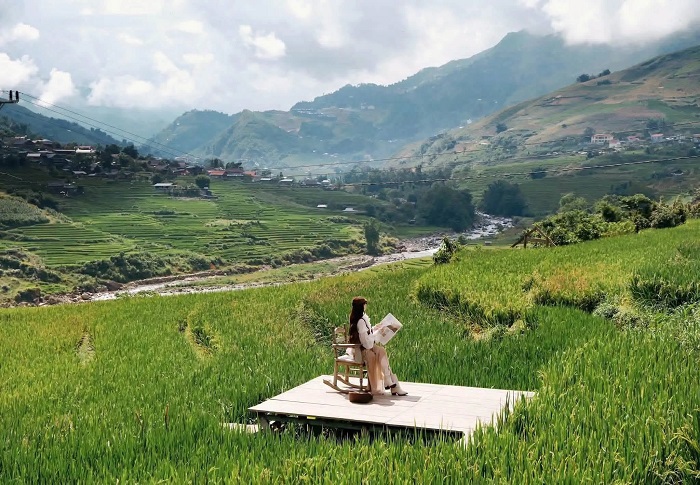 tháng 8 đi du lịch ở đâu đẹp Lên Sa Pa ngắm đồng lúa dần chuyển màu cũng hết sức thú vị 