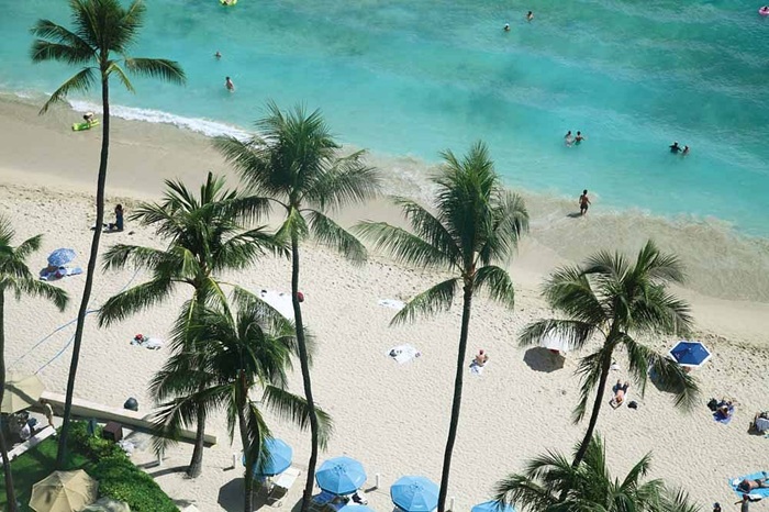 Bờ cát trắng mịn ở bãi biển Waikiki - Ảnh: Tripadvisor