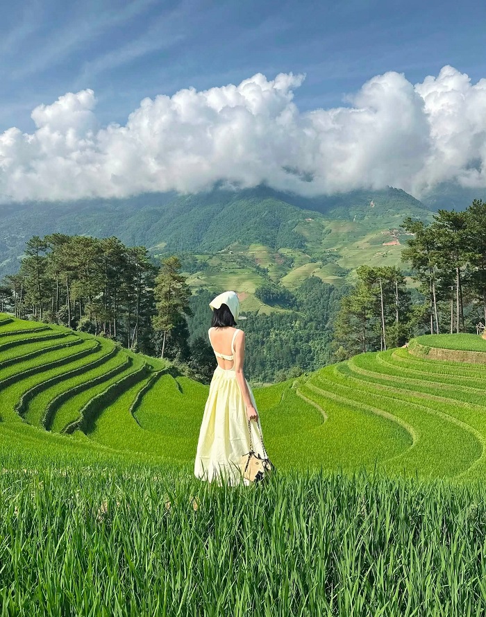 Bỏ túi lưu ý khi tới Đồi Móng Ngựa Mù Cang Chải