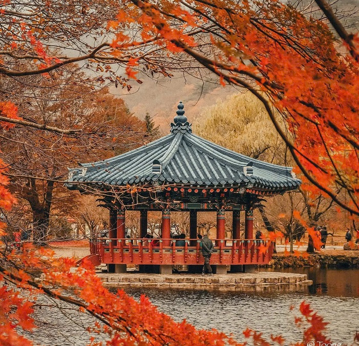 Du lịch Hàn Quốc mùa thu Du lịch Hàn Quốc mùa thu lấp đầy album ảnh sống ảo