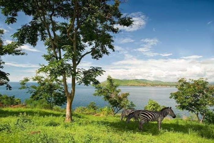 Khám phá Tanganyika - hồ nước lớn ở châu Phi - Ảnh: Much Better Adventures
