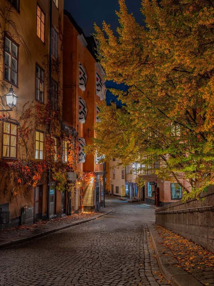 Ngắm khu phố cổ Gamla Stan Thụy Điển về đêm
