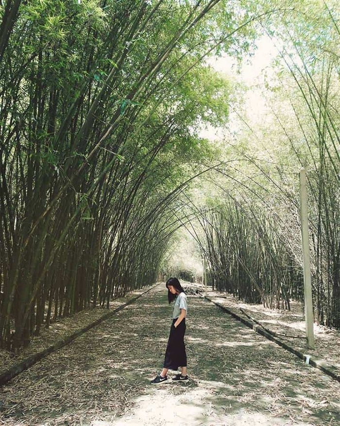 Làng tre Phú An Bình Dương có giá vé phải chăng