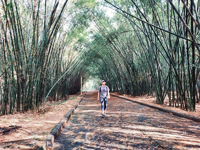 Làng tre Phú An Bình Dương đang chờ đón bạn