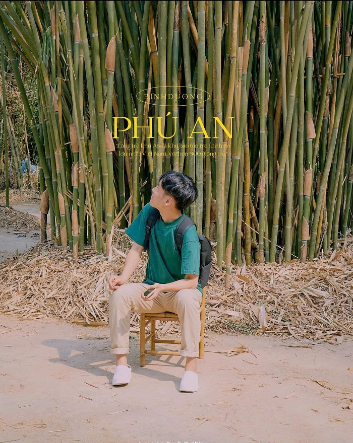 Làng tre Phú An Bình Dương tập trung cả những mẫu tre quý