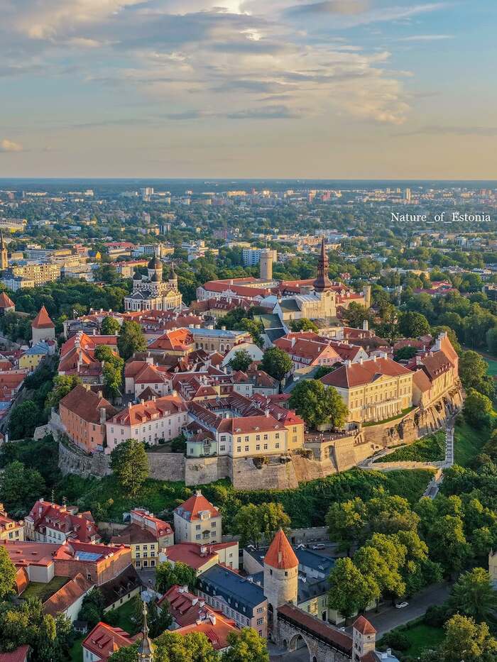 ngắm toàn cảnh phố cổ từ  lâu đài Toompea Estonia 