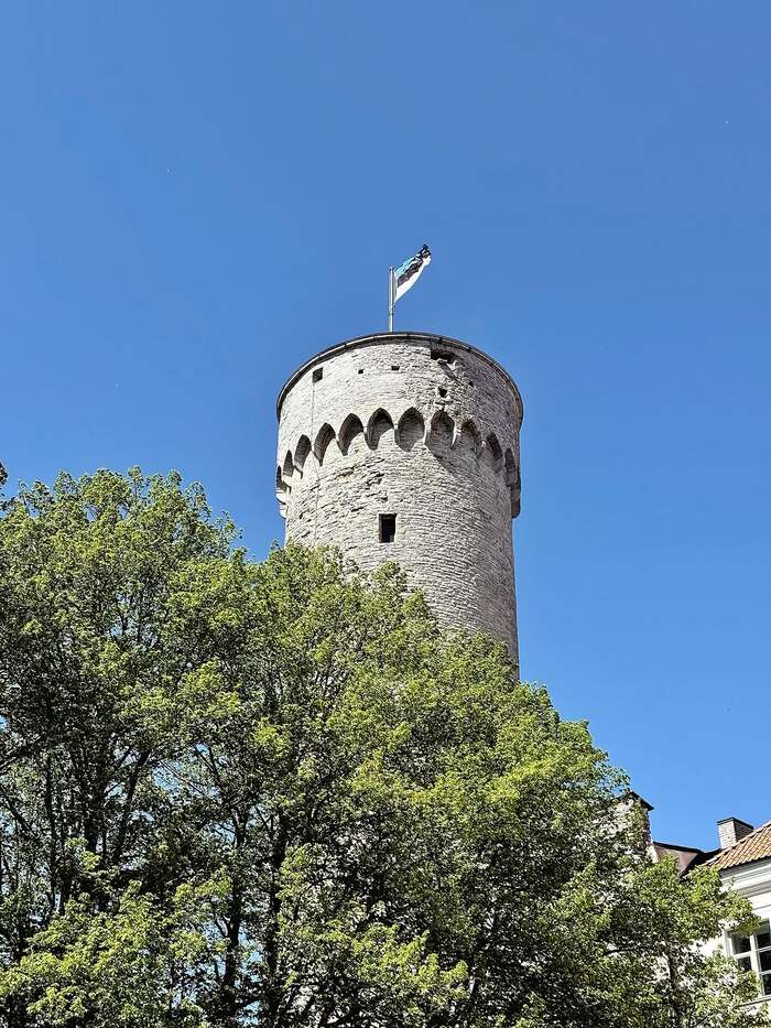 Ngắm ngọn tháp Pikk Hermann tại lâu đài Toompea Estonia 